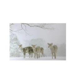 Northlight Winter Woods Deer Fiber Optic Lighted Canvas Wall Art