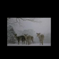 Northlight Winter Woods Deer Fiber Optic Lighted Canvas Wall Art -Northlight Sale Store D361877S 2