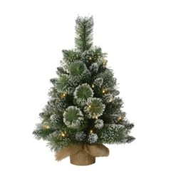 2ft. Pre-Lit Artificial Christmas Tree In Burlap Sack, Warm White LED Lights