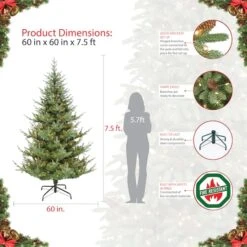 7.5ft. Pre-Lit Hillside Spruce Artificial Christmas Tree, Clear Lights -Northlight Sale Store D393458S 5