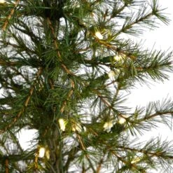 3ft. Pre-Lit Artificial Christmas Tree In Burlap Base, Clear LED Lights 15 3ft. Pre-Lit Artificial Christmas Tree In Burlap Base, Clear LED Lights -Northlight Sale Store D478823S 4