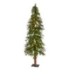 6ft. Pre-Lit Alpine Artificial Christmas Tree, Warm White LED Lights