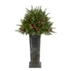 4ft. Pre-Lit Glittered Artificial Christmas Plant On Pedestal, Multicolor LED Lights