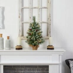 2ft. Pre-Lit Flocked Pine & Berry Artificial Christmas Tree In Burlap Base, Warm White LED Lights -Northlight Sale Store D478872S 6