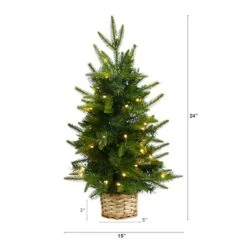 2ft. Pre-Lit Artificial Christmas Tree In Decorative Basket, Clear LED Lights -Northlight Sale Store D478873S 2