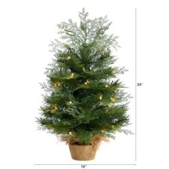 2ft. Pre-Lit Artificial Christmas Tree In Burlap Base, Warm White LED Lights -Northlight Sale Store D478875S 2