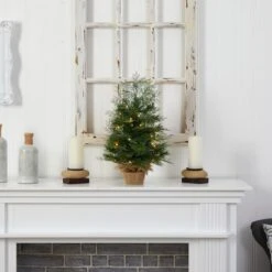 2ft. Pre-Lit Artificial Christmas Tree In Burlap Base, Warm White LED Lights -Northlight Sale Store D478875S 6