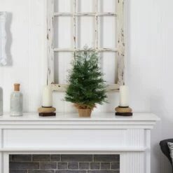 2ft. Pre-Lit Artificial Christmas Tree In Burlap Base, Warm White LED Lights -Northlight Sale Store D478875S 7