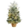 2ft. Pre-Lit Winter Frosted Artificial Christmas Tree In Burlap Base, Warm White LED Lights