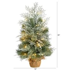 2ft. Pre-Lit Winter Frosted Artificial Christmas Tree In Burlap Base, Warm White LED Lights -Northlight Sale Store D478876S 2