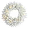 18" Pre-Lit Colorado Spruce Christmas Wreath
