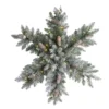 30" Pre-Lit Flocked Snowflake Artificial Dunhill Fir Wreath With Pinecones