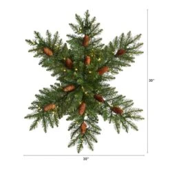 30" Pre-Lit Snowflake Artificial Dunhill Fir Wreath With Pinecones -Northlight Sale Store D479001S 2