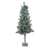 Northlight 4ft. Unlit Lightly Flocked & Glittered Woodland Alpine Artificial Christmas Tree