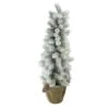 Northlight 2.5ft. Unlit Flocked Pine Slim Artificial Christmas Tree