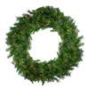 Northlight 60" Pre-Lit Artificial Canyon Pine Wreath
