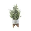 16" Unlit Frosted Artificial Christmas Tree In Staghead Ceramic Pot On Wood Stand