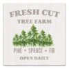 Fresh Cut Tree Farm 16x16 Canvas Wall Art
