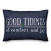 Good Tidings Of Comfort And Joy 14x20 Throw Pillow