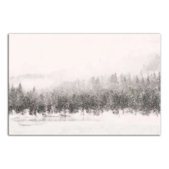Calm Snowy Trees 36x24 Canvas Wall Art 1 Calm Snowy Trees 36x24 Canvas Wall Art