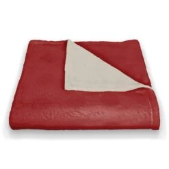This House Believes 50x60 Coral Fleece Blanket -Northlight Sale Store D518276S 2