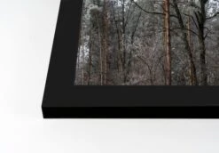 Dusty Trees Black Framed Print Under Plexiglass -Northlight Sale Store D518339S 2