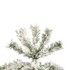 6.5ft. Unlit Flocked Pacific Pine Artificial Christmas Tree -Northlight Sale Store D522196S 3