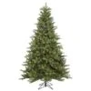 5.5ft. Pre-Lit King Spruce Artificial Christmas Tree, Multicolor Dura-Lit® LED Lights