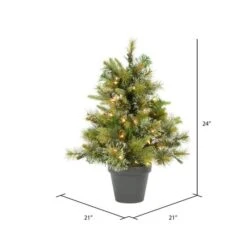 2ft. Pre-Lit Cashmere Pine Artificial Christmas Tree In Pot, Warm White Dura-Lit® LED Lights 7 2ft. Pre-Lit Cashmere Pine Artificial Christmas Tree In Pot, Warm White Dura-Lit® LED Lights -Northlight Sale Store D522307S 3