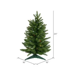2ft. Pre-Lit Fraser Fir Artificial Christmas Tree, Multicolor Lights 7 2ft. Pre-Lit Fraser Fir Artificial Christmas Tree, Multicolor Lights -Northlight Sale Store D522452S 3