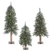 2ft., 3ft. & 4ft. Pre-Lit Natural Bark Alpine Artificial Christmas Tree Set, Clear Dura-Lit® Lights