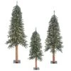 4ft., 5ft. & 6ft. Pre-Lit Natural Bark Alpine Artificial Christmas Tree Set, Warm White Dura-Lit® LED Lights