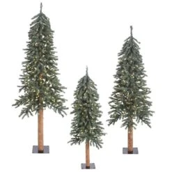 4ft., 5ft. & 6ft. Pre-Lit Natural Bark Alpine Artificial Christmas Tree Set, Warm White Dura-Lit® LED Lights