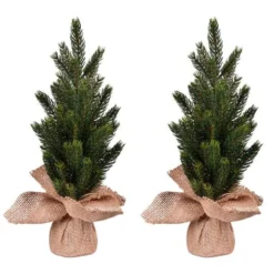 15" Unlit Balsam Fir Sapling Artificial Christmas Tree, 2ct. -Northlight Sale Store D522614S 2