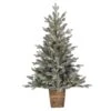 4ft. Pre-Lit Gooding Potted Pine Artificial Tree, Warm White LED Mini Lights