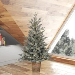 4ft. Pre-Lit Gooding Potted Pine Artificial Tree, Warm White LED Mini Lights -Northlight Sale Store D522616S 2