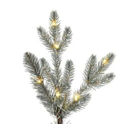 4ft. Pre-Lit Gooding Potted Pine Artificial Tree, Warm White LED Mini Lights -Northlight Sale Store D522616S 3