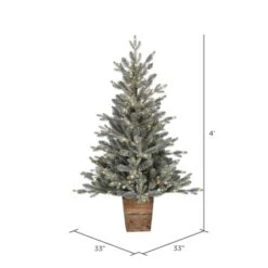 4ft. Pre-Lit Gooding Potted Pine Artificial Tree, Warm White LED Mini Lights -Northlight Sale Store D522616S 4
