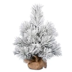 24" Unlit Frosted Beckett Pine Artificial Christmas Tree