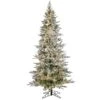 6.5ft. Pre-Lit Flocked Kiana Artificial Christmas Tree, Wide Angle Warm White LED Lights