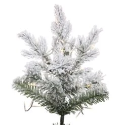 6.5ft. Pre-Lit Flocked Kiana Artificial Christmas Tree, Wide Angle Warm White LED Lights -Northlight Sale Store D522683S 3