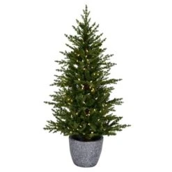 3.5ft. Pre-Lit Belgrade Pine Artificial Christmas Tree, Clear Dura-Lit® LED Lights