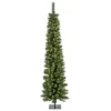 6ft. Pre-Lit Nooksack Fir Pencil Artificial Christmas Tree, Warm White LED Lights
