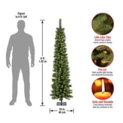 6ft. Pre-Lit Nooksack Fir Pencil Artificial Christmas Tree, Warm White LED Lights 12 6ft. Pre-Lit Nooksack Fir Pencil Artificial Christmas Tree, Warm White LED Lights -Northlight Sale Store D531407S 15