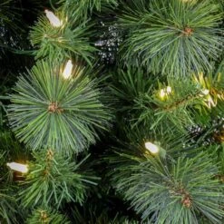 6ft. Pre-Lit Nooksack Fir Pencil Artificial Christmas Tree, Warm White LED Lights 10 6ft. Pre-Lit Nooksack Fir Pencil Artificial Christmas Tree, Warm White LED Lights -Northlight Sale Store D531407S 3