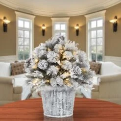 22" Pre-Lit Flocked Chiwawa Basin Pine Tree With Pinecones In Gray Pot, Clear LED Lights -Northlight Sale Store D531431S 2