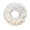 24" Warm White LED Crystal White Spruce Wreath