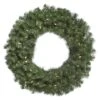 24" Douglas Fir Wreath, Warm White LED Mini Lights