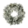 24" Pre-Lit Flocked Kiana Artificial Christmas Wreath, Warm White Dura-Lit® LED Mini Lights