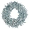 24" White LED Lights Silver Fir Artificial Christmas Wreath